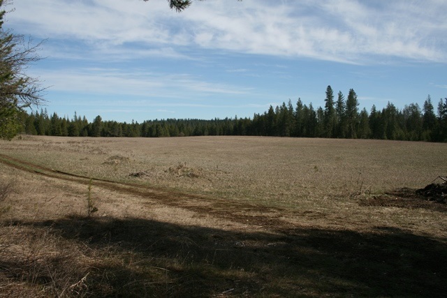 4203 D Lyons Hill Road Springdale, WA 99173 - Photo 17 of 20