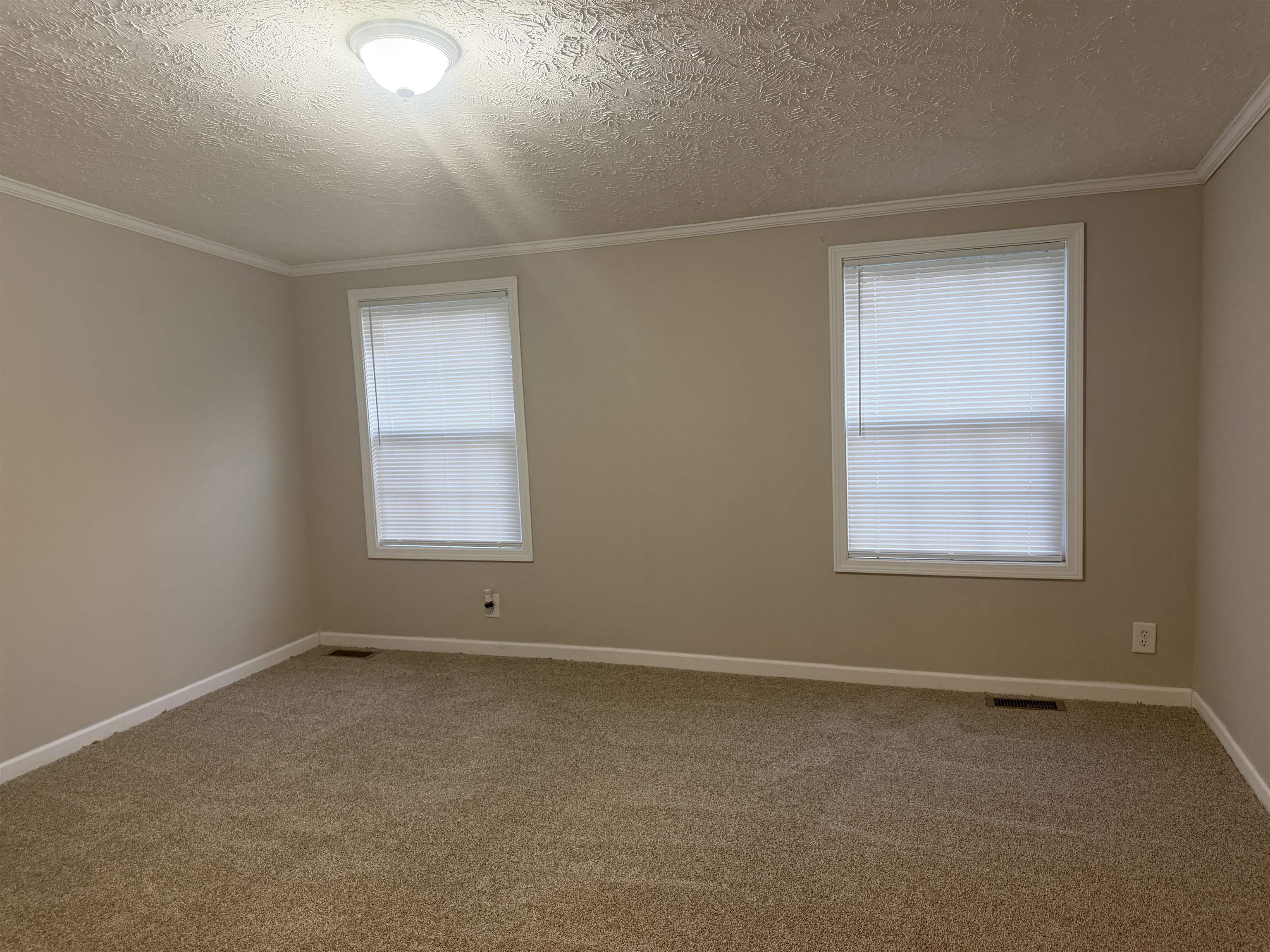 157 Rhodes Road Conway, SC 29526 - Photo 10 of 19