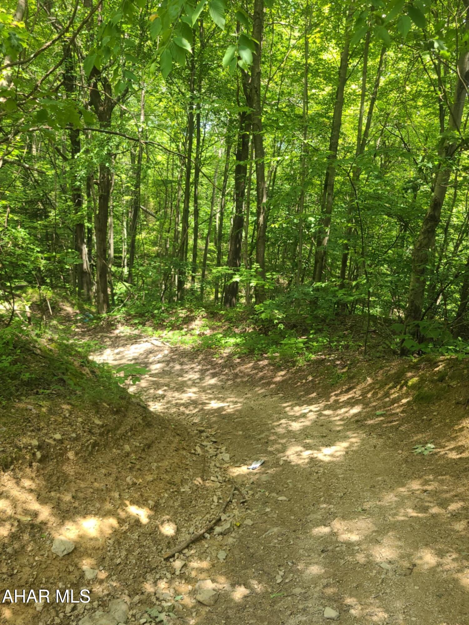 0 Mountaindale Road Lilly, PA 15938 - Photo 2 of 5