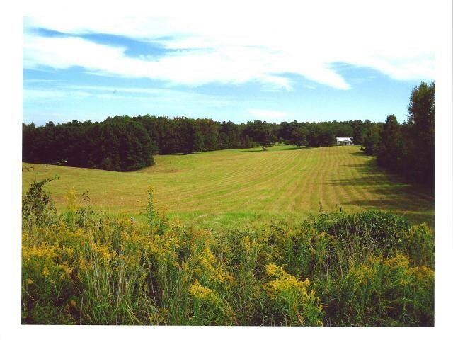 0 Causey Road Knoxville, GA 31052 - Photo 1 of 1 a view of an ocean