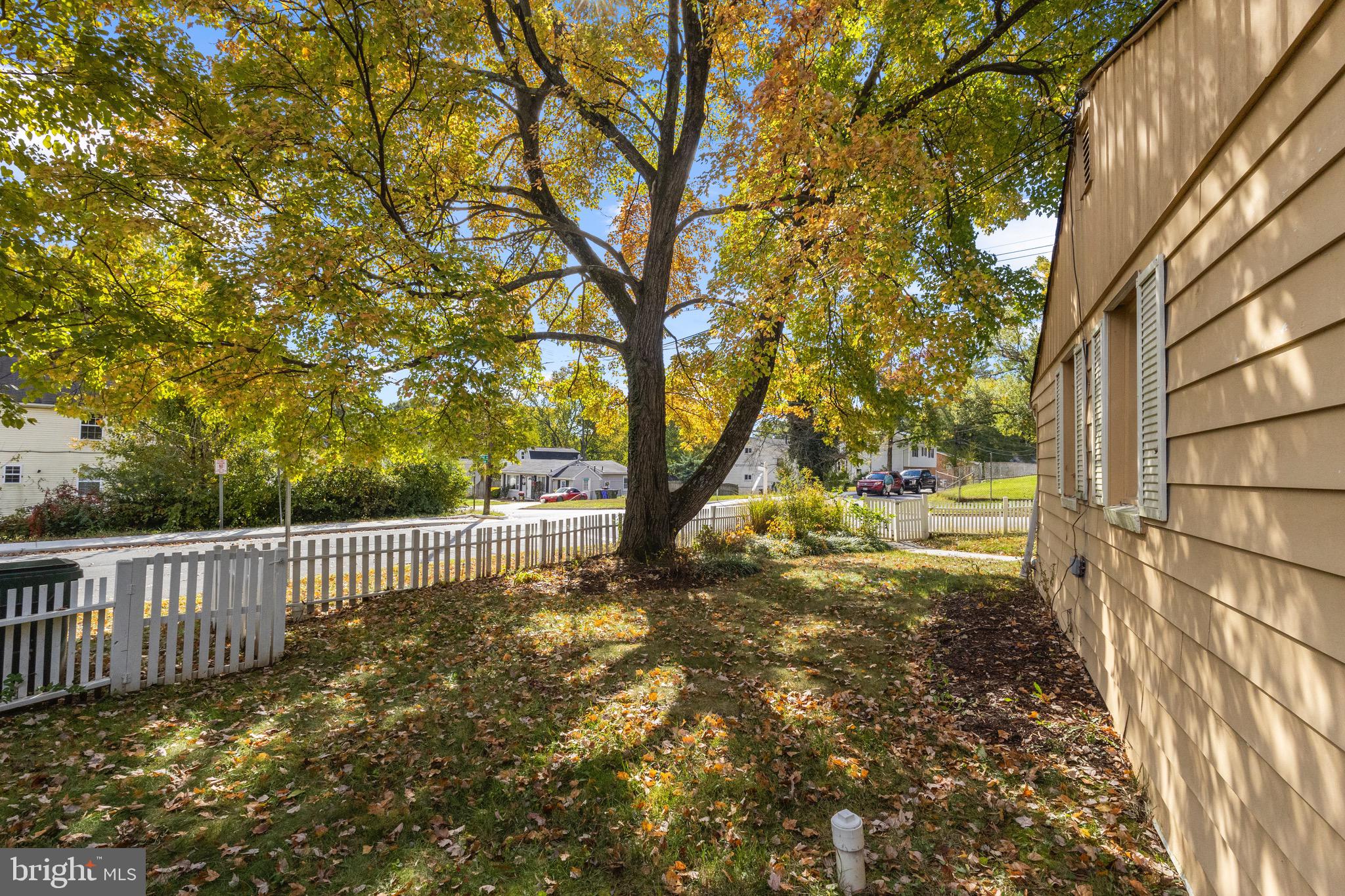 5120 Kenesaw Street College Park, MD 20740 - Photo 30 of 37 a view of backyard with tree
