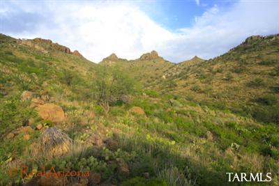 11 Pinnacle Gulch Court Rio Rico, AZ 85648 - Photo 7 of 15 a view of a mountain