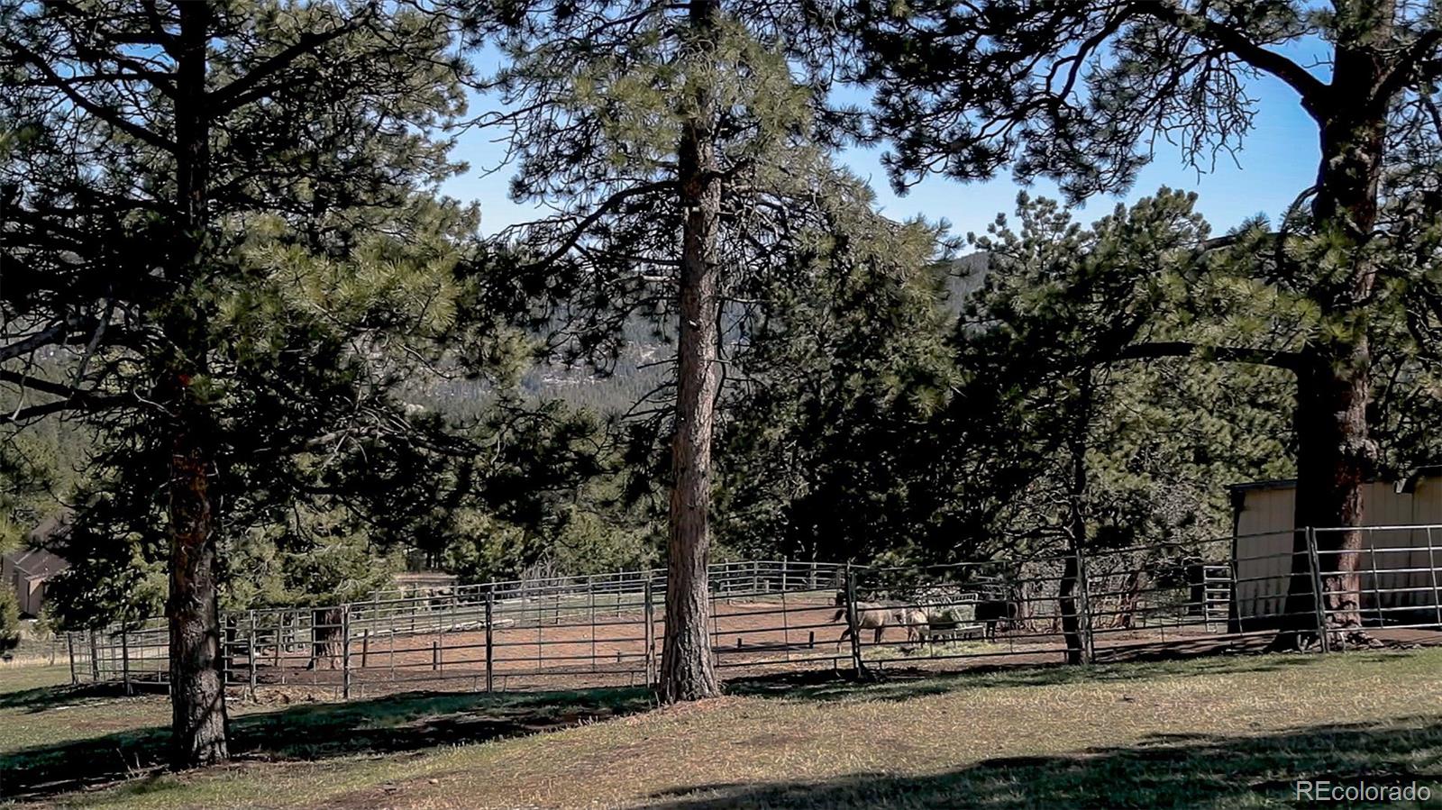 8988 South Hillview Road Morrison, CO 80465 - Photo 22 of 29 Gallery Image 22