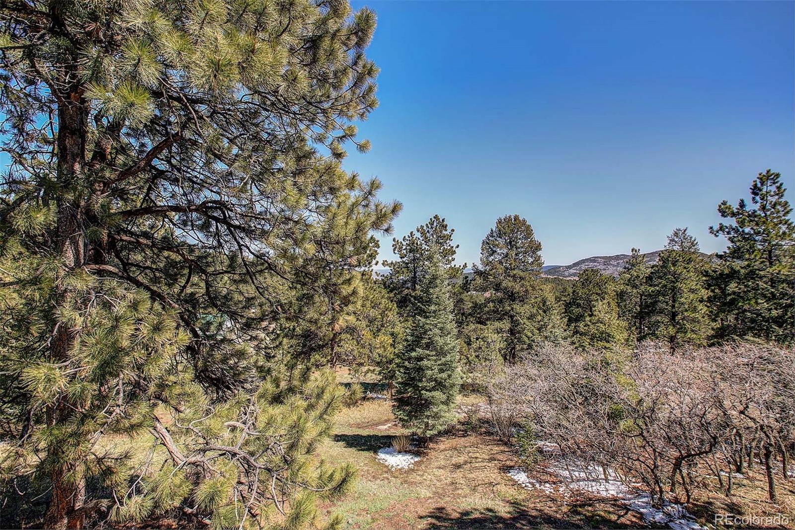 8988 South Hillview Road Morrison, CO 80465 - Photo 8 of 29 Gallery Image 8
