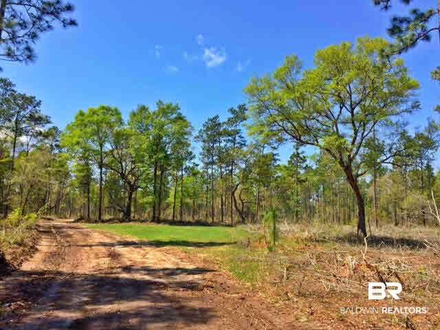 0 South Grand Bay Wilmer Road Wilmer, AL 36587 - Photo 4 of 18