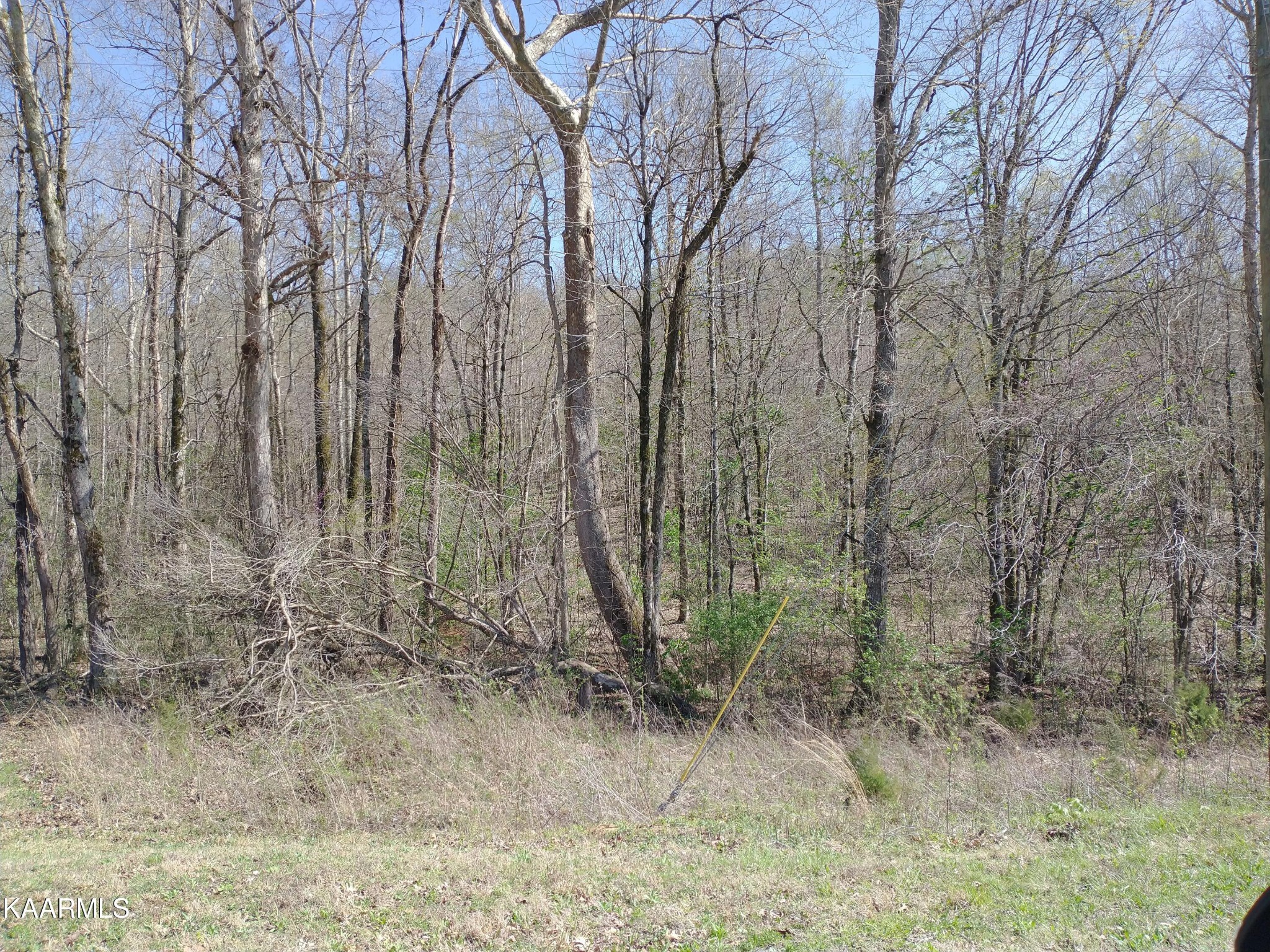 0 Meadow Road Road Greenback, TN 37742 - Photo 1 of 3 Gallery Image 1