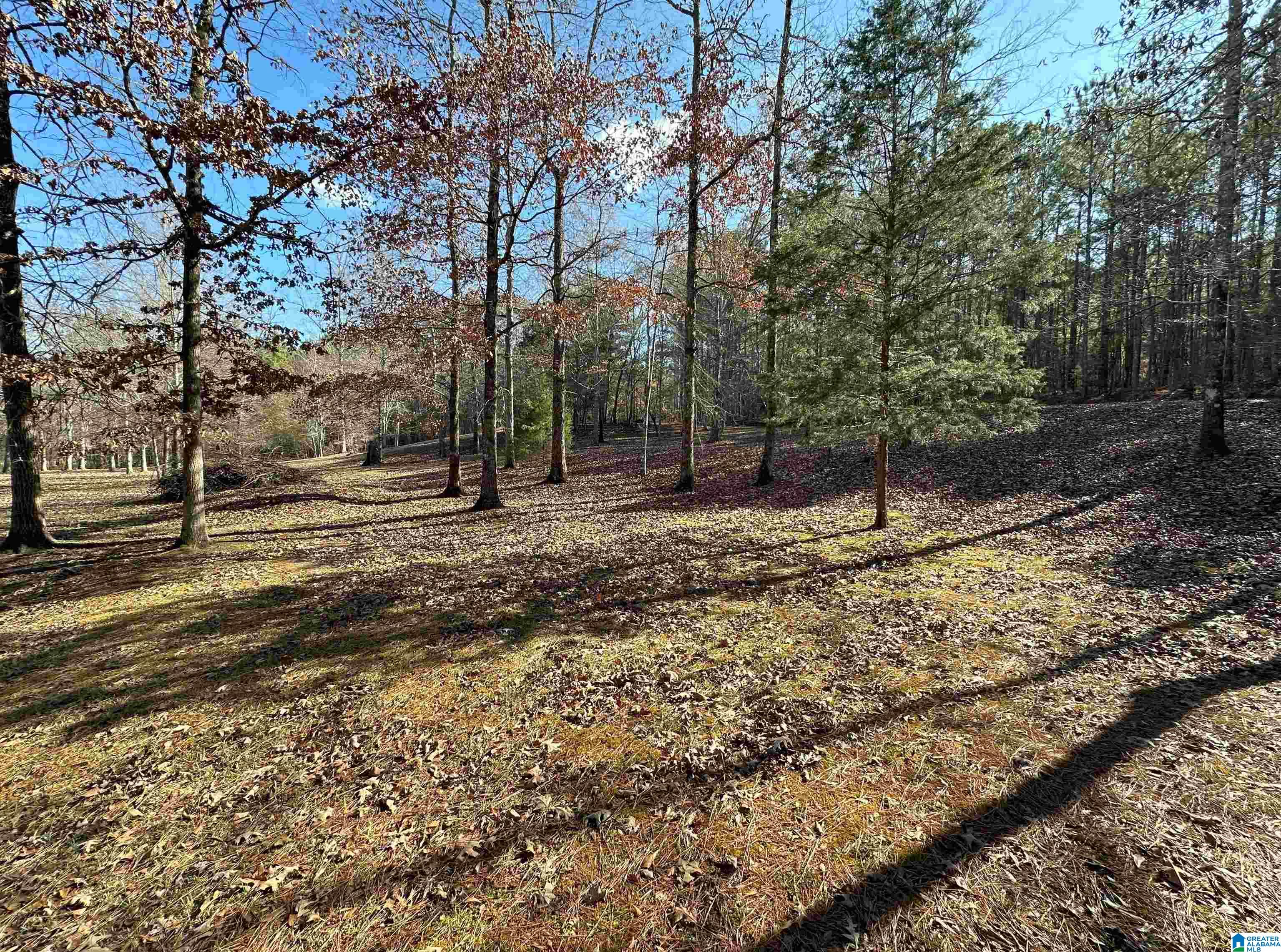 535 Oak Circle Ohatchee, AL 36271 - Photo 15 of 18
