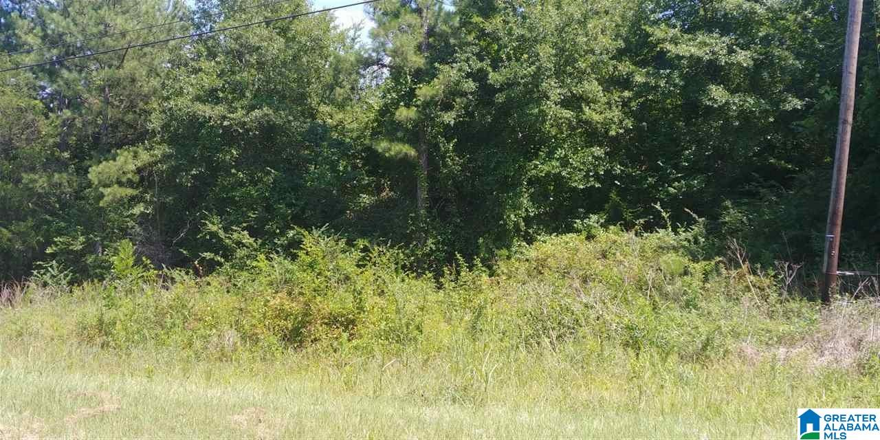 1 Old Coleman Road, Unit 8620 Sylacauga, AL 35150 - Photo 1 of 3