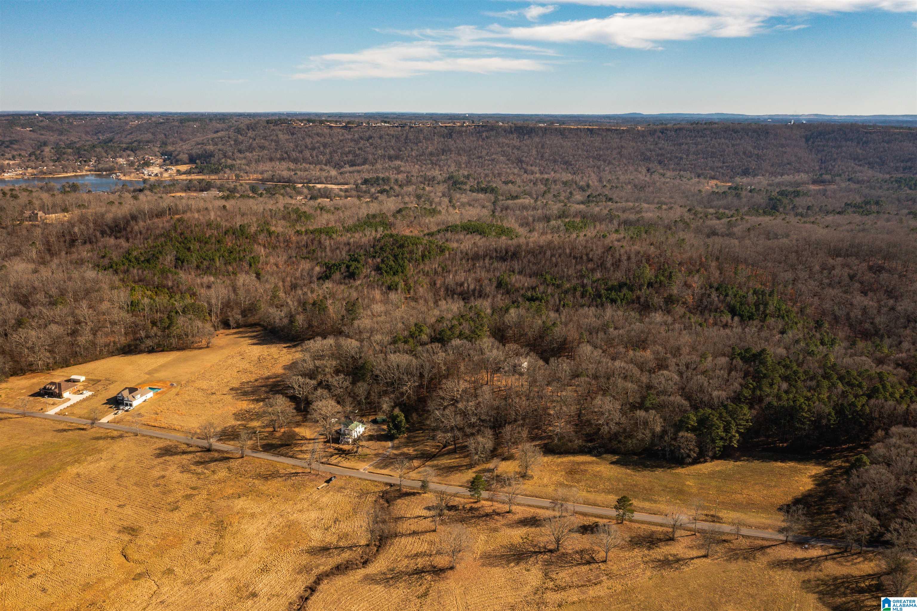 0 Browns Valley Road Guntersville, AL 35976 - Photo 20 of 39