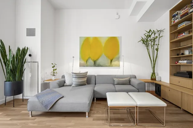a living room with furniture and a potted plant