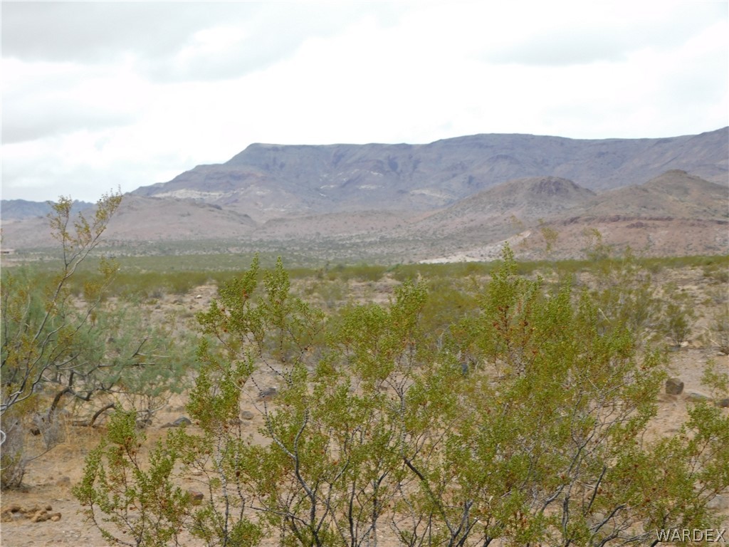 0 North Granville Road Golden Valley, AZ 86413 - Photo 4 of 7 Gallery Image 4
