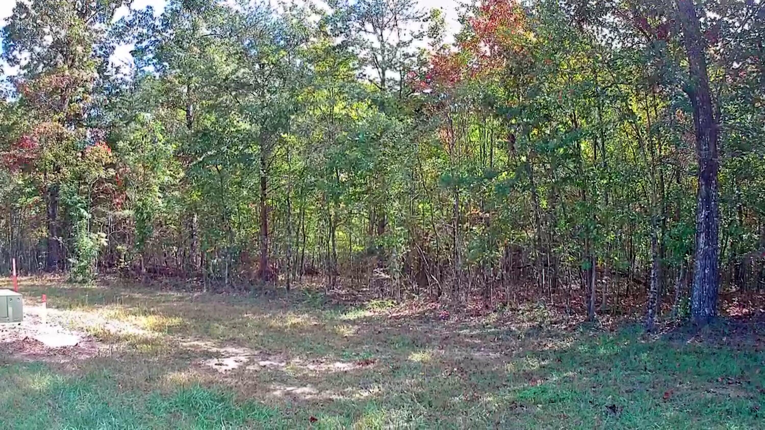 0 Long Branch Road, Unit 179B Spencer, TN 38585 - Photo 13 of 55 IMG_20251005_1327040