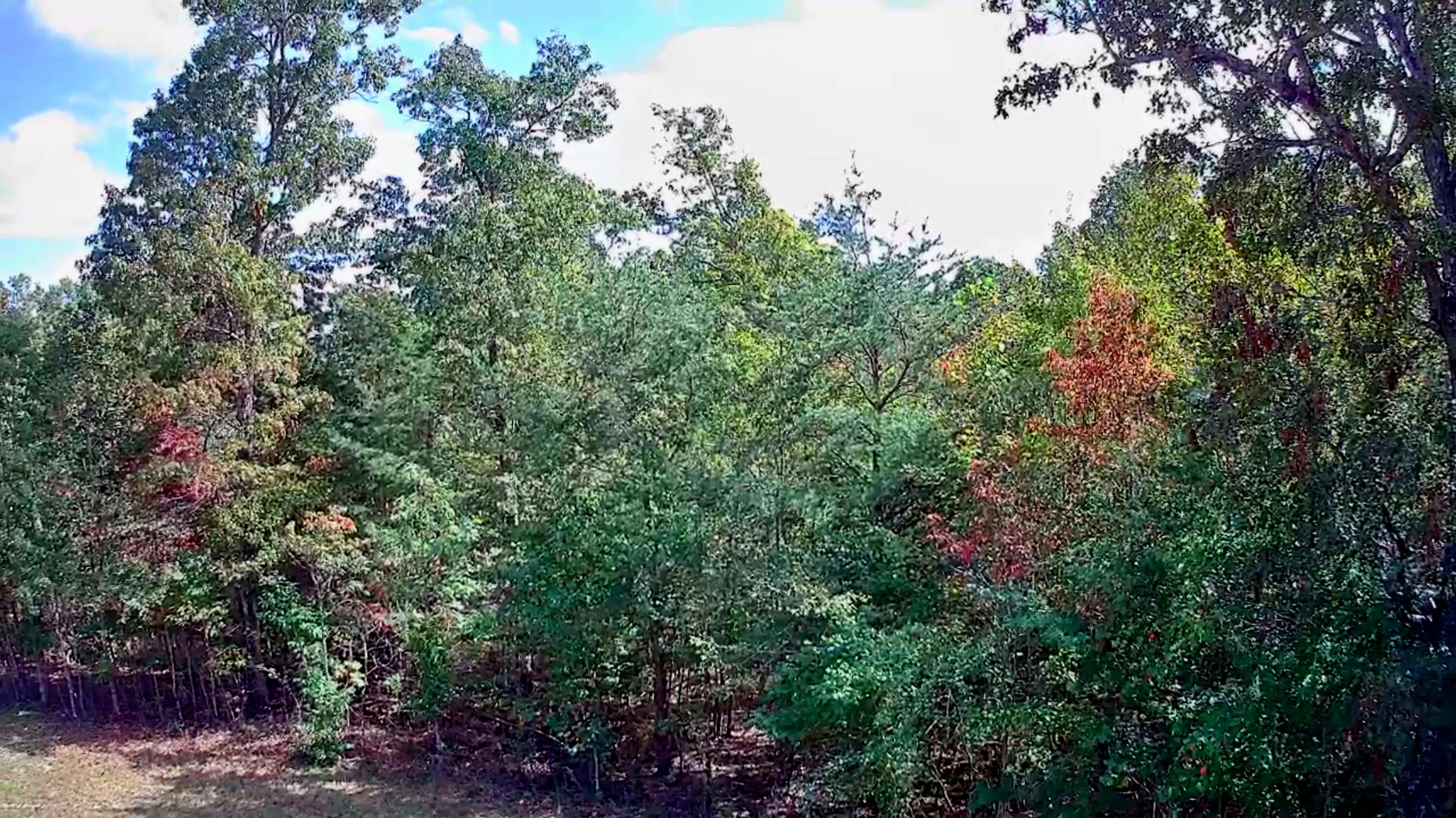 0 Long Branch Road, Unit 179B Spencer, TN 38585 - Photo 15 of 55 IMG_20251005_1327049