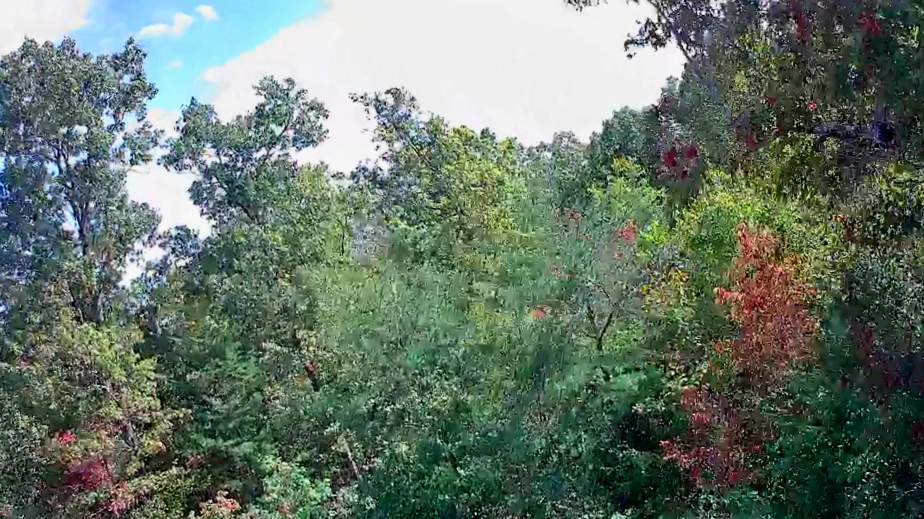 0 Long Branch Road, Unit 179B Spencer, TN 38585 - Photo 16 of 55 IMG_20251005_1327052