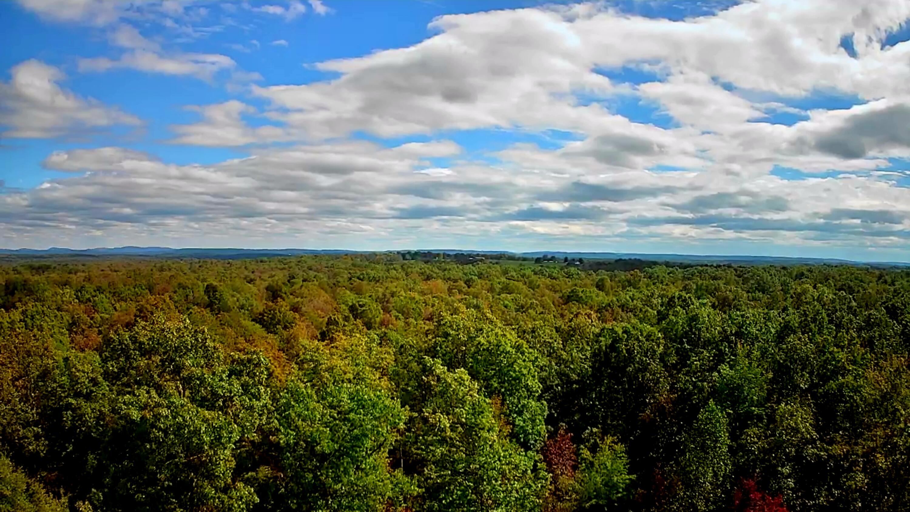 0 Long Branch Road, Unit 179B Spencer, TN 38585 - Photo 17 of 55 IMG_20251005_1328005