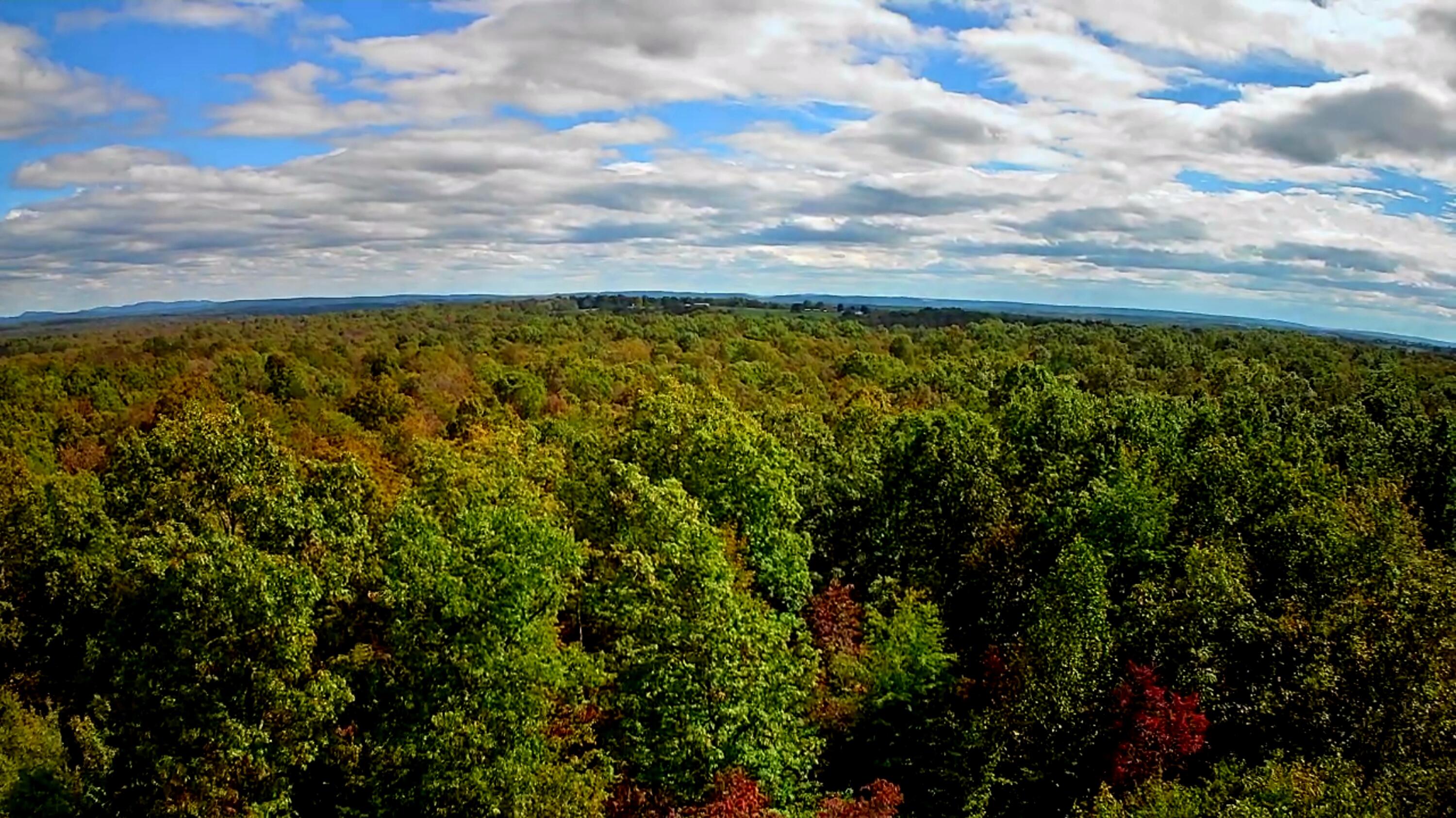 0 Long Branch Road, Unit 179B Spencer, TN 38585 - Photo 18 of 55 IMG_20251005_1328011
