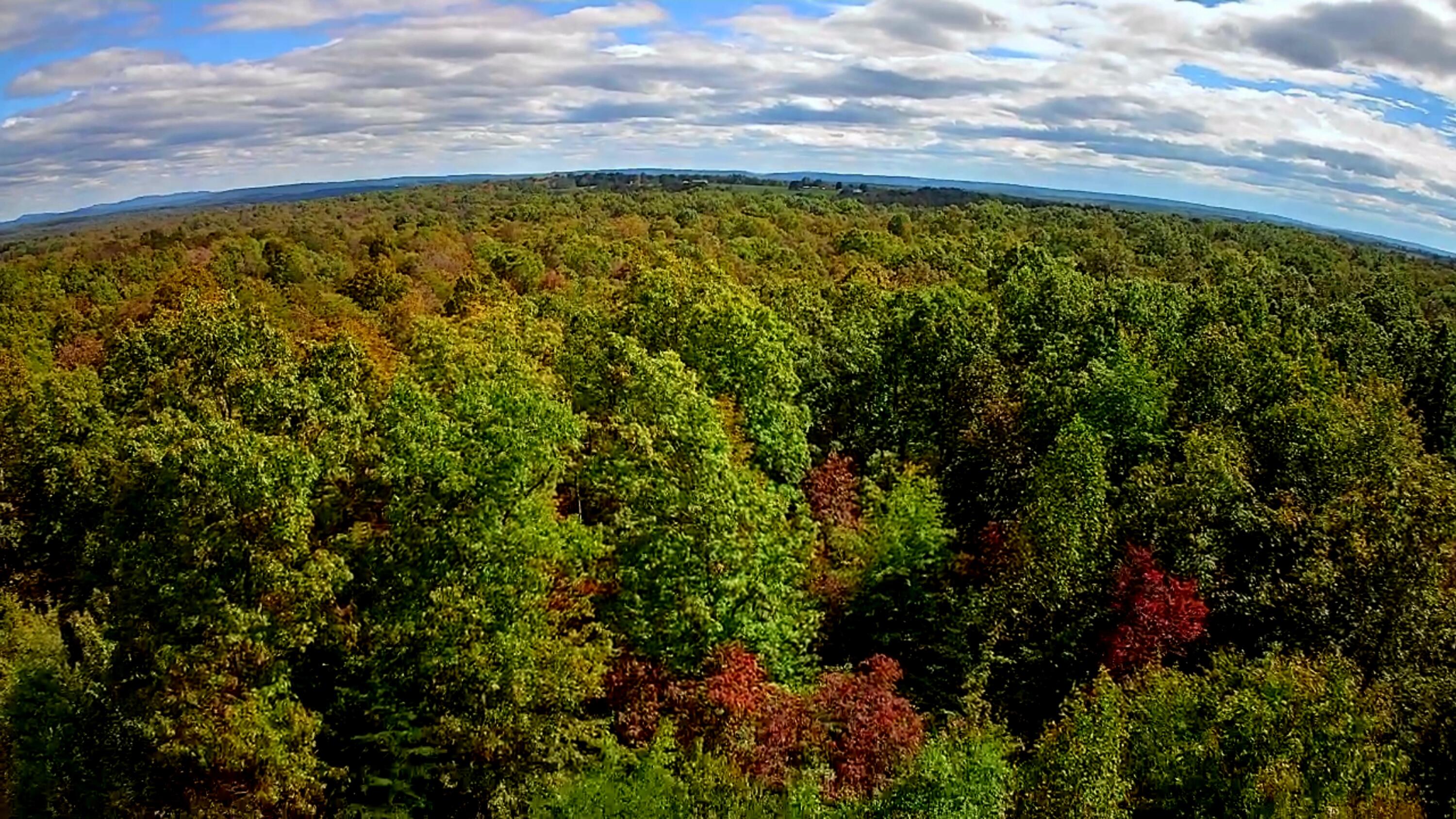 0 Long Branch Road, Unit 179B Spencer, TN 38585 - Photo 19 of 55 IMG_20251005_1328013