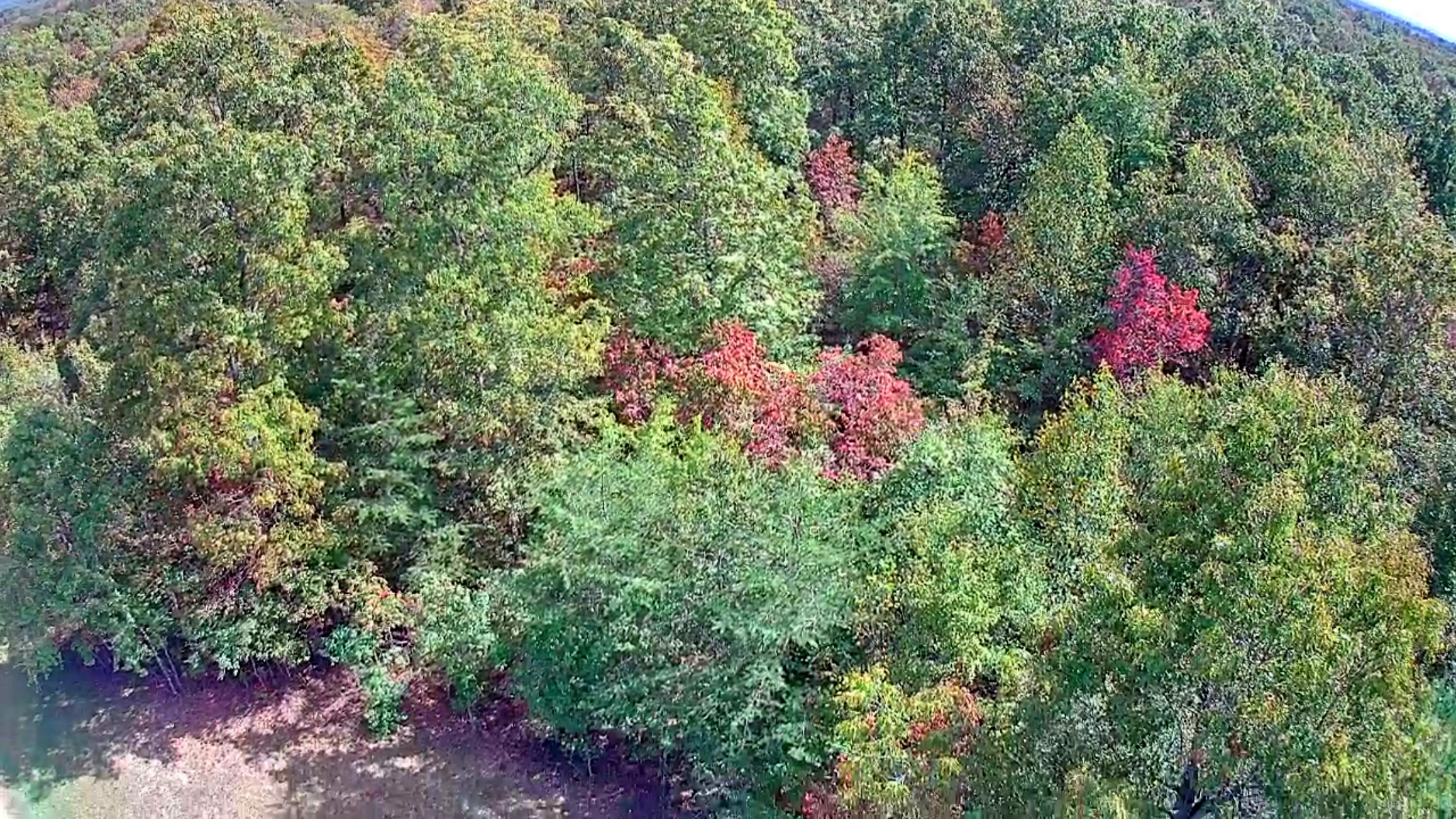 0 Long Branch Road, Unit 179B Spencer, TN 38585 - Photo 20 of 55 IMG_20251005_1328016