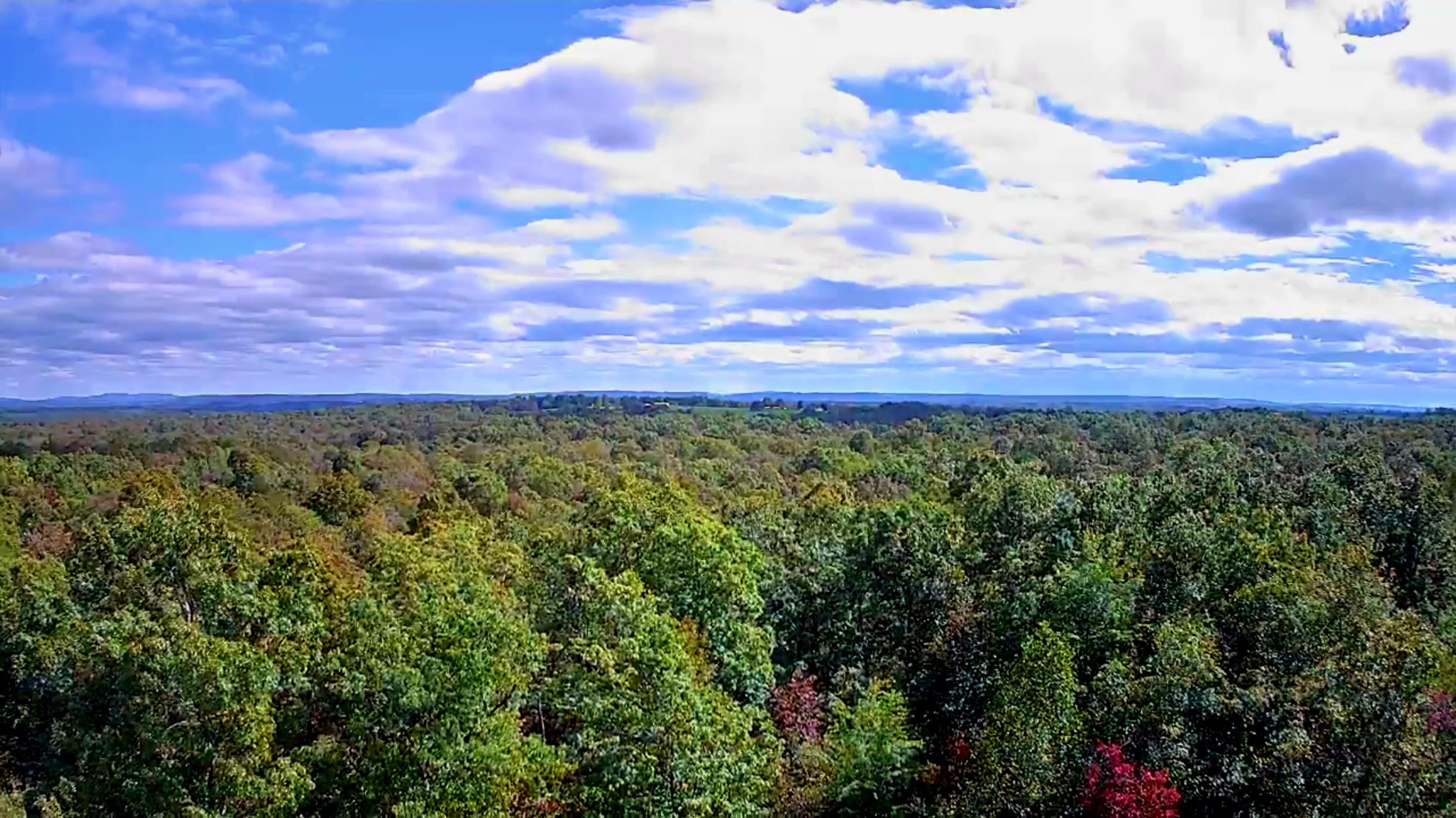 0 Long Branch Road, Unit 179B Spencer, TN 38585 - Photo 21 of 55 IMG_20251005_1328021