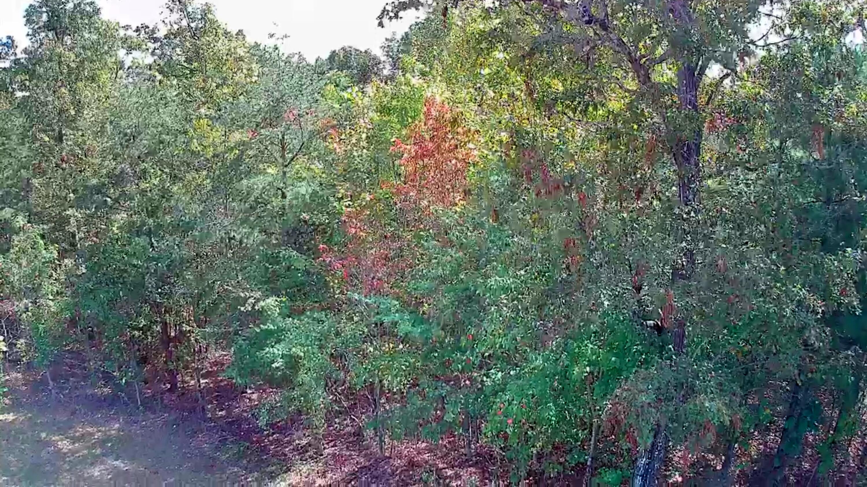 0 Long Branch Road, Unit 179B Spencer, TN 38585 - Photo 26 of 55 IMG_20251005_1329032