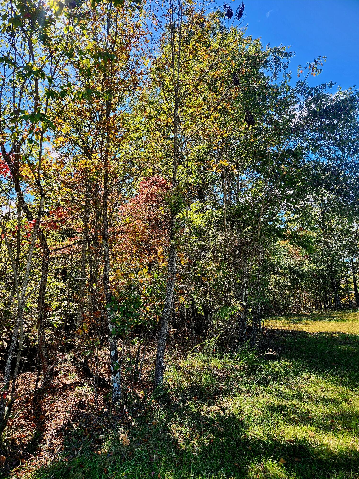 0 Long Branch Road, Unit 179B Spencer, TN 38585 - Photo 3 of 55 20251005_130201