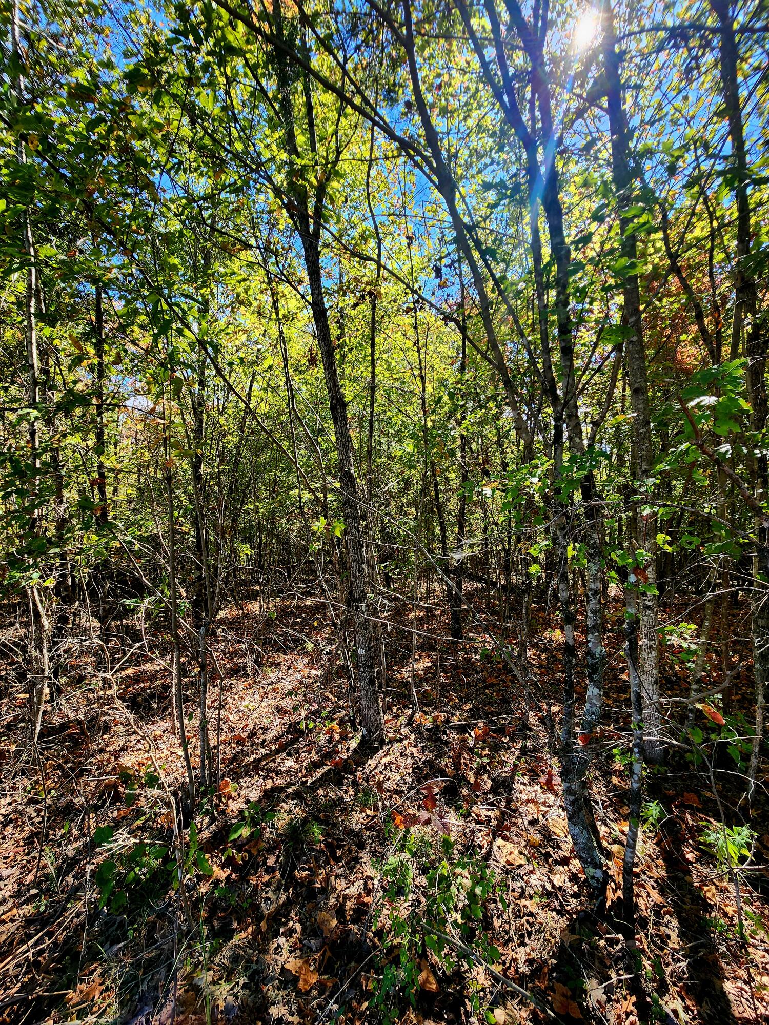 0 Long Branch Road, Unit 179B Spencer, TN 38585 - Photo 4 of 55 20251005_130243