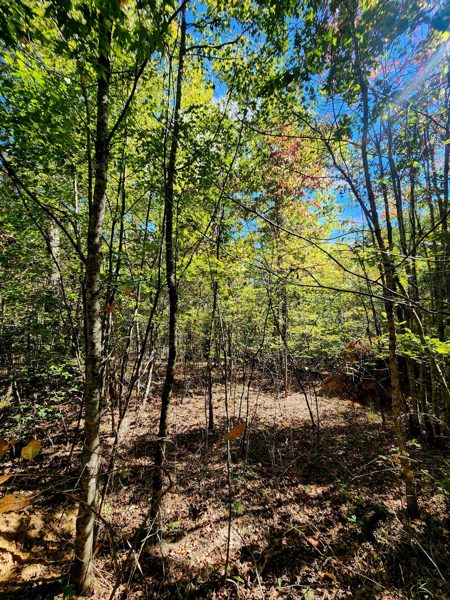 0 Long Branch Road, Unit 179B Spencer, TN 38585 - Photo 5 of 55 20251005_130349