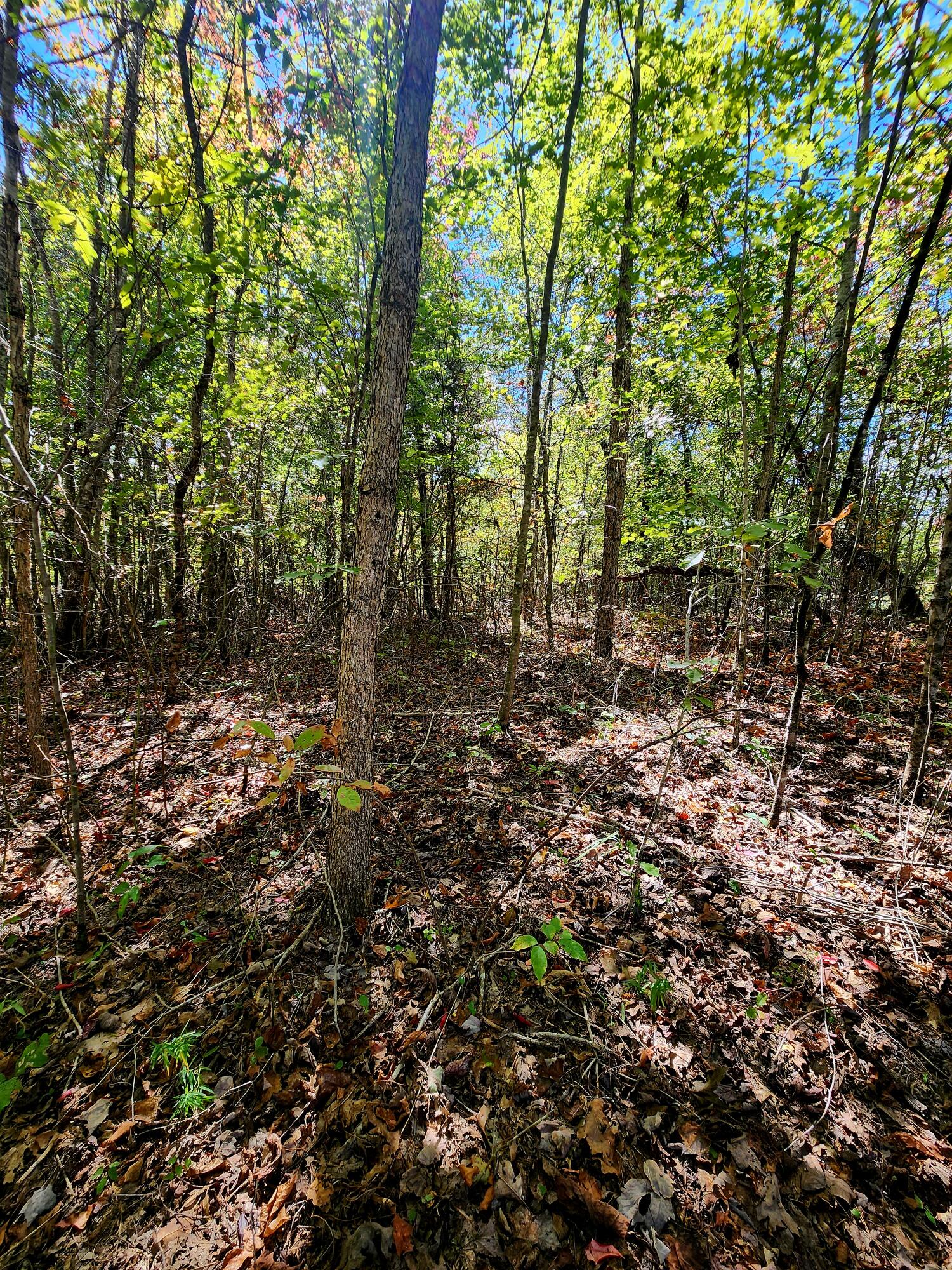 0 Long Branch Road, Unit 179B Spencer, TN 38585 - Photo 6 of 55 20251005_130401