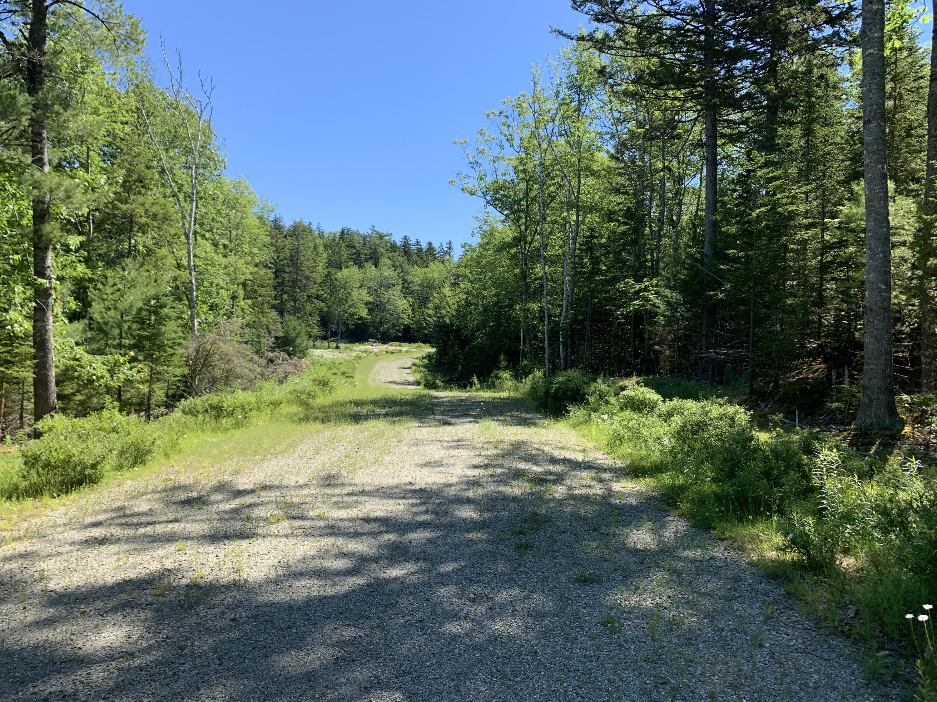 0 Patty Lp Road Mount Desert, ME 04660 - Photo 2 of 6 IMG_5994