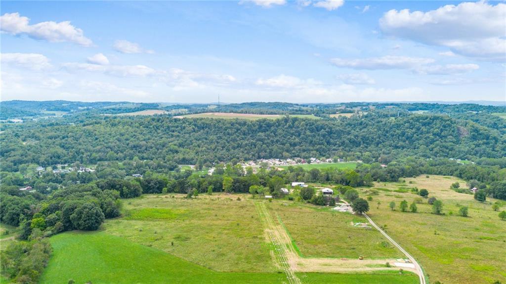1663 Banning Road Dawson, PA 15428 - Photo 14 of 15 a view of a big yard with potted plants and large tree