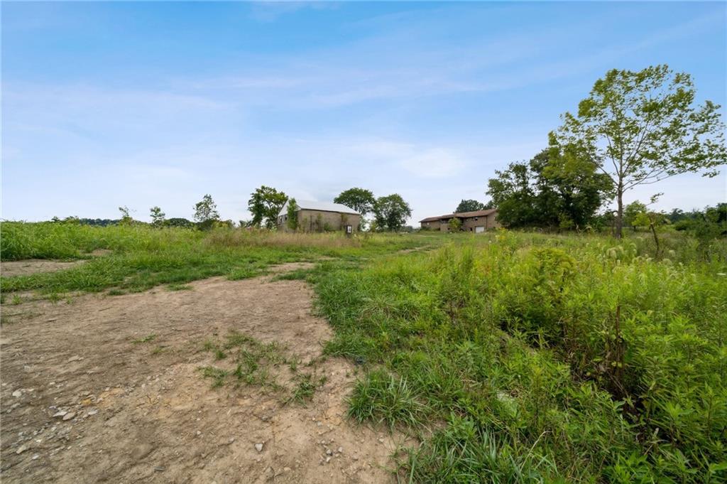 1663 Banning Road Dawson, PA 15428 - Photo 3 of 15 a view of a field with a tree in the background