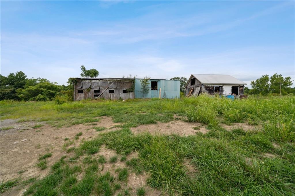 1663 Banning Road Dawson, PA 15428 - Photo 6 of 15 a view of a big yard with plants and large trees
