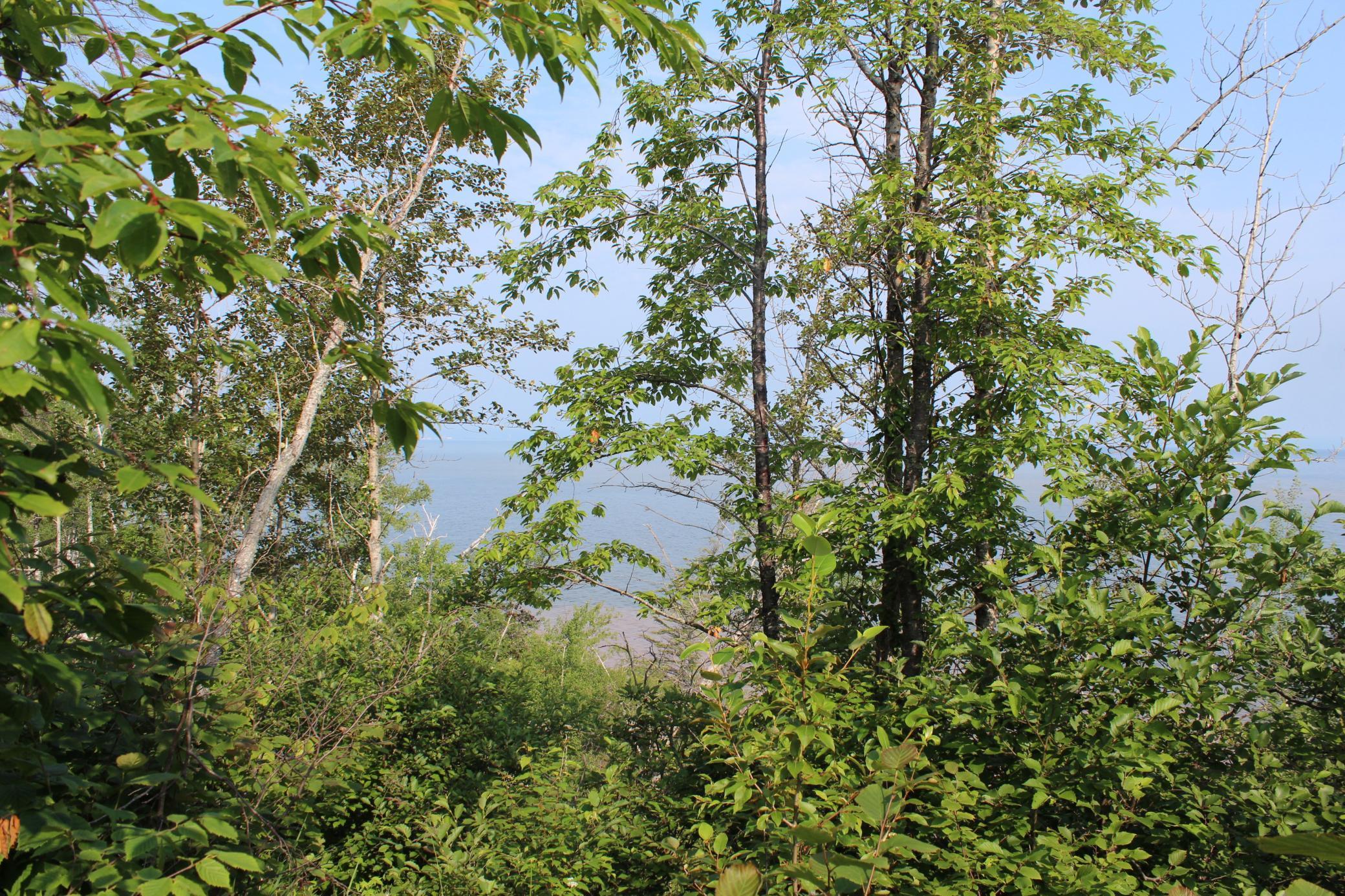Lot 1 East Camp Amnicon Road South Range, WI 54874 - Photo 12 of 15