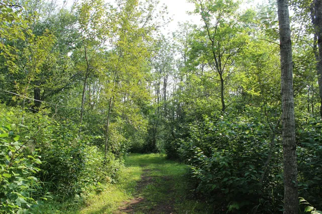 $199,900 | Lot 1 East Camp Amnicon Road, South Range, WI 54874