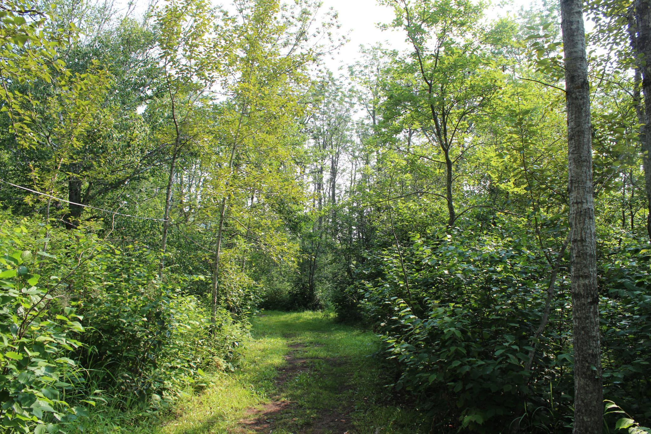 Lot 1 East Camp Amnicon Road South Range, WI 54874 - Photo 8 of 15