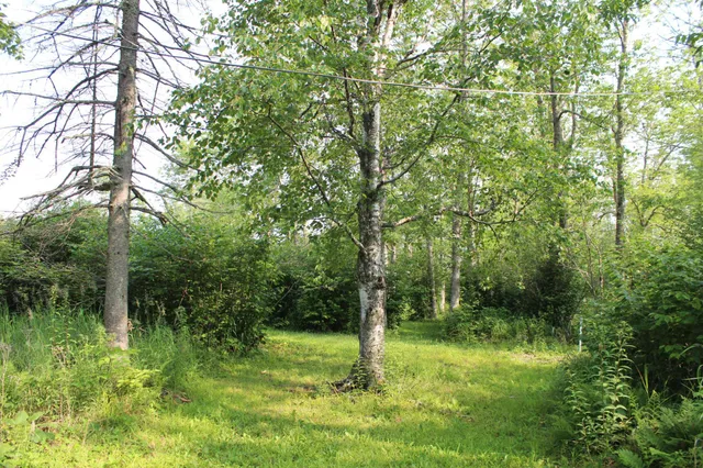 $199,900 | Lot 1 East Camp Amnicon Road, South Range, WI 54874