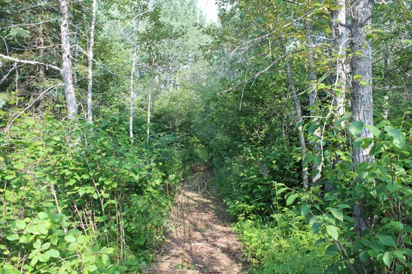 $179,900 | Lot 1 East Camp Amnicon Road, South Range, WI 54874
