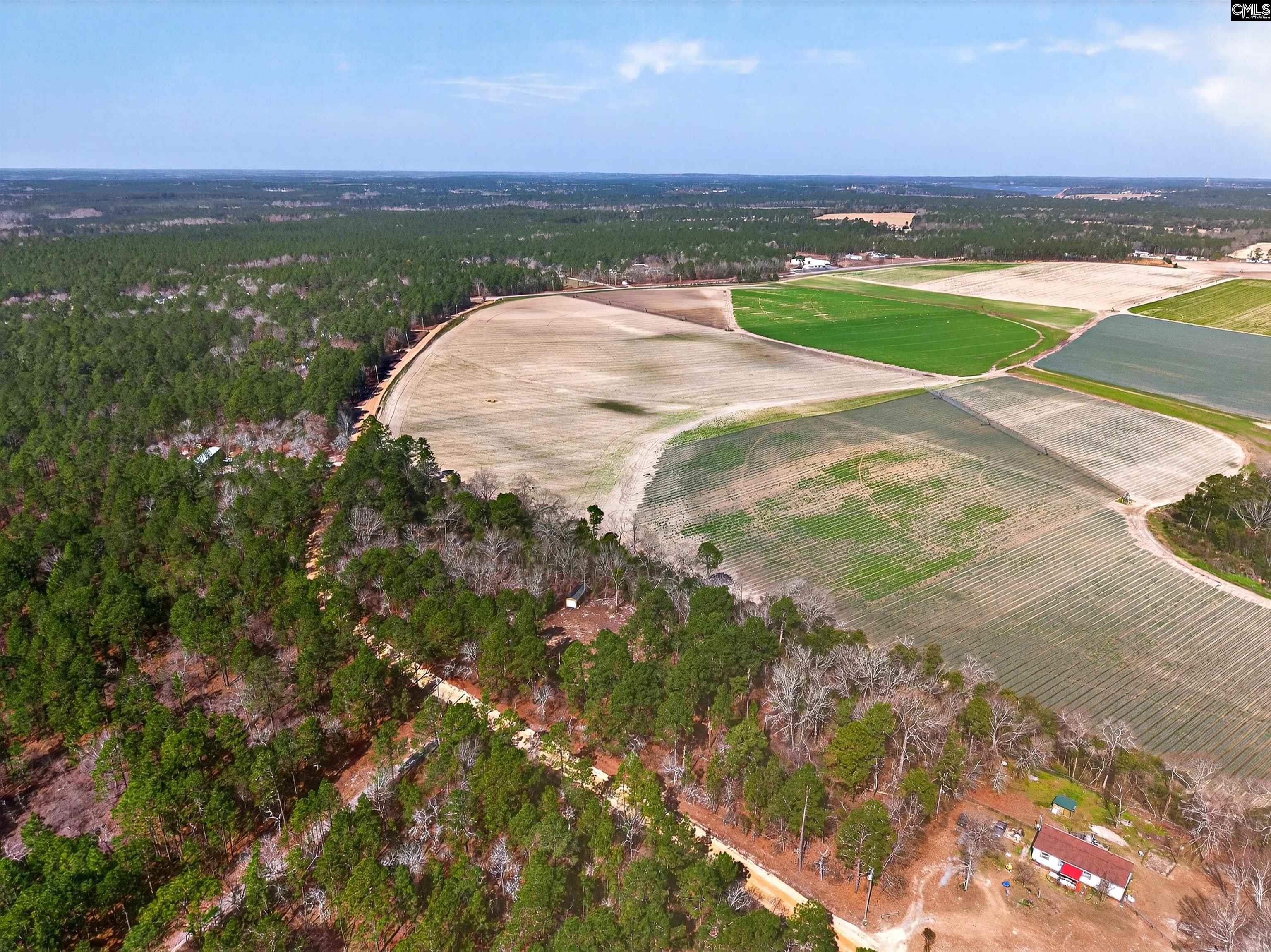 0 Rimrock Road Leesville, SC 29070 - Photo 2 of 11