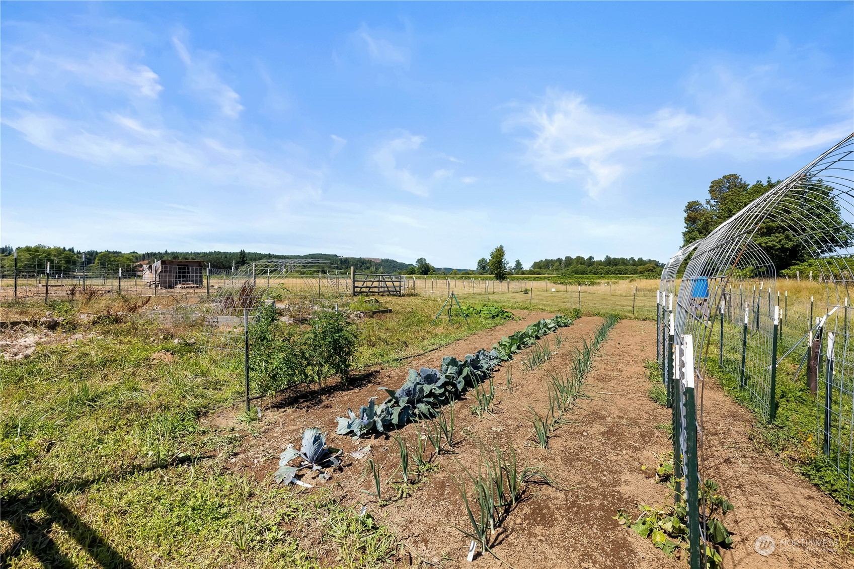 655 Monte Elma Road Montesano, WA 98563 - Photo 8 of 33 Gallery Image 8