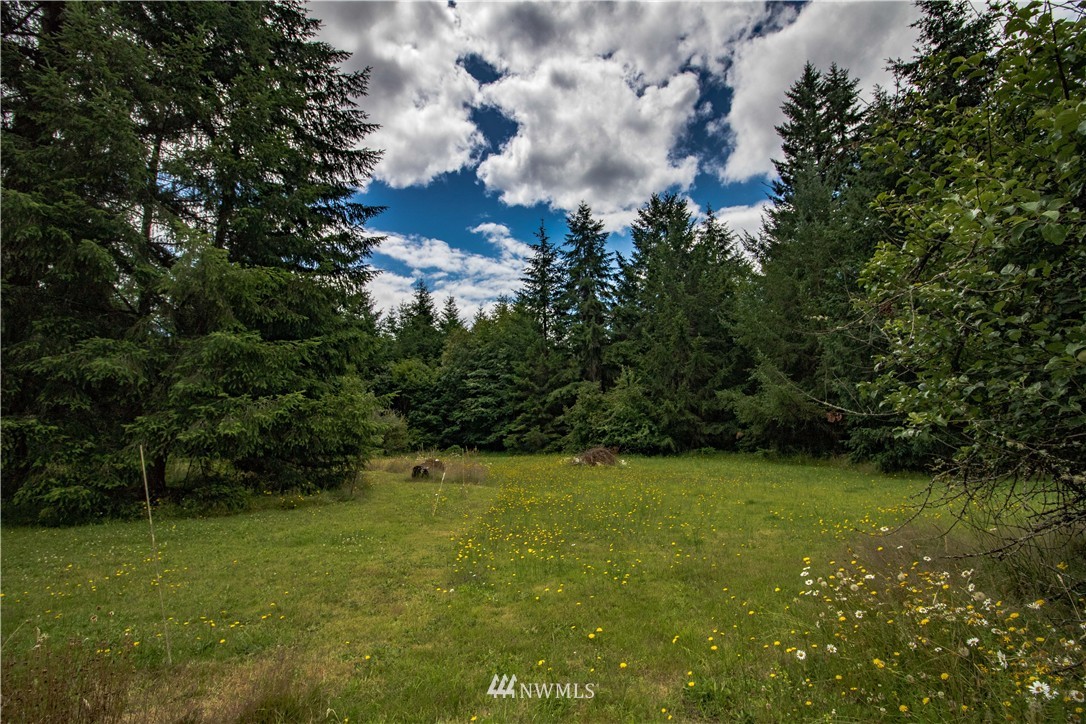 255 Hawkins Road Winlock, WA 98596 - Photo 18 of 20