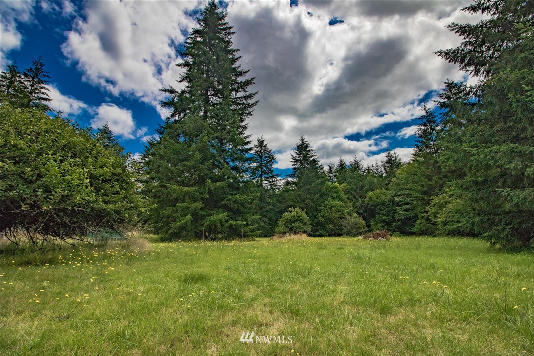 255 Hawkins Road Winlock, WA 98596 - Photo 19 of 20