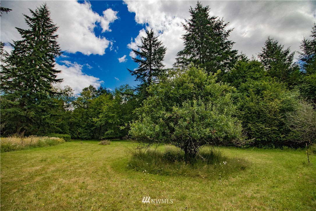 255 Hawkins Road Winlock, WA 98596 - Photo 20 of 20