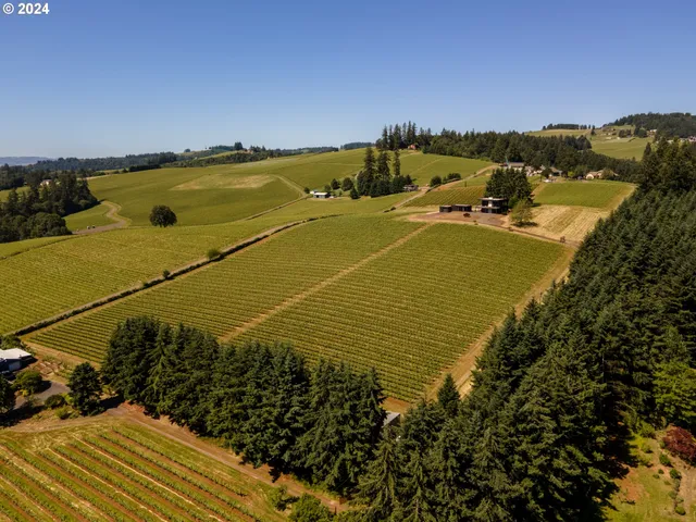 a view of an outdoor space and swimming pool