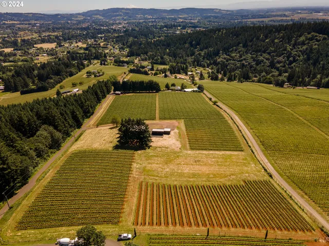 a view of a lake with a mountain