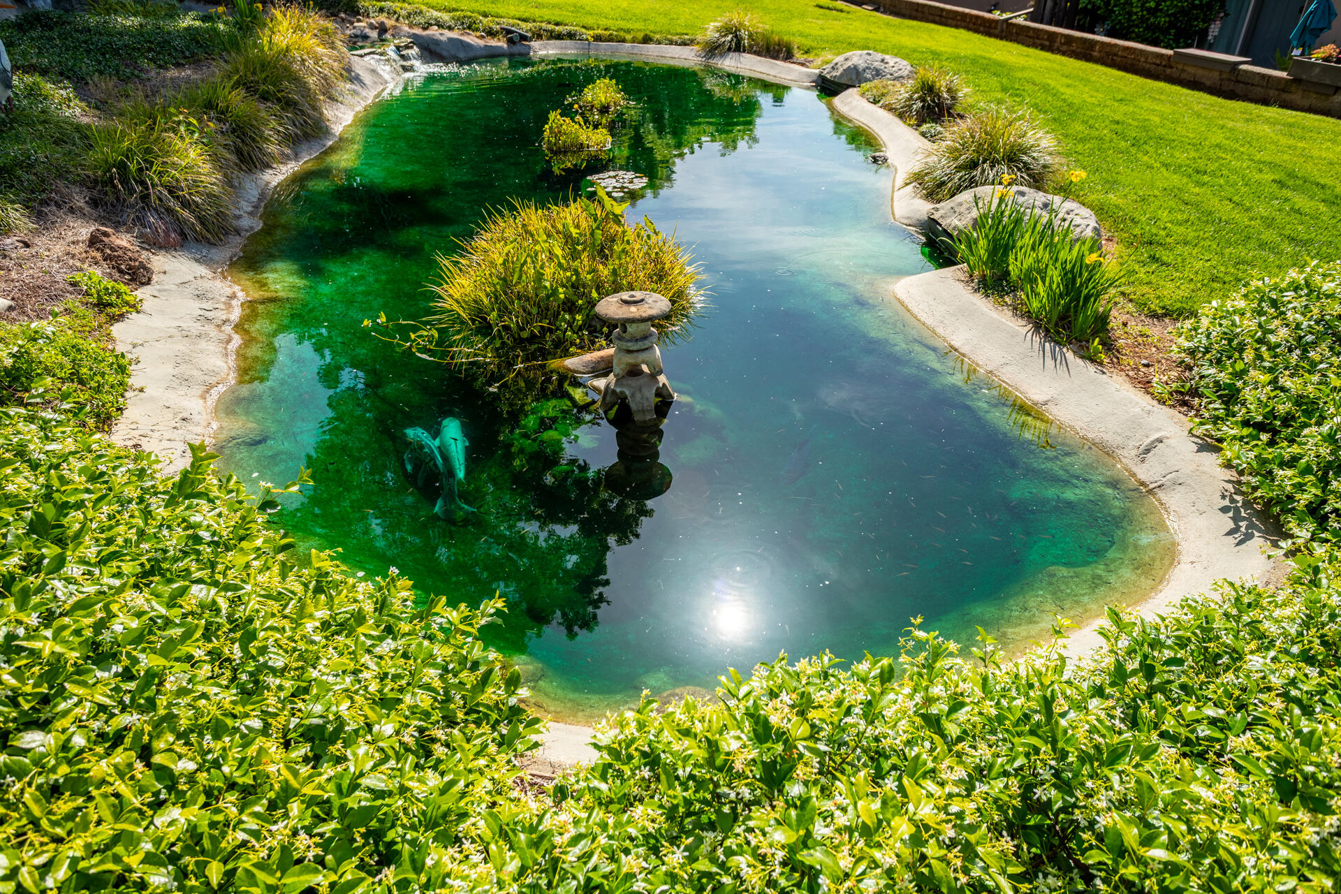 1937 Bechelli Lane Redding, CA 96002 - Photo 3 of 48 Koi Pond
