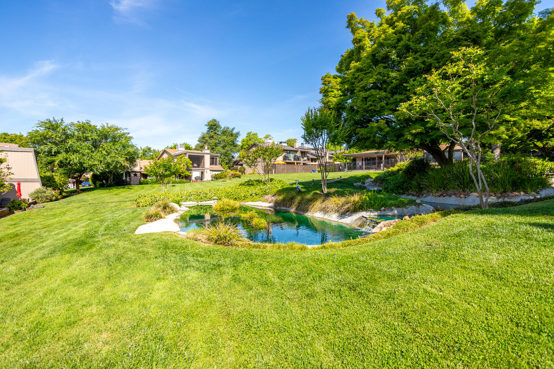 1937 Bechelli Lane Redding, CA 96002 - Photo 31 of 48 Koi Pond