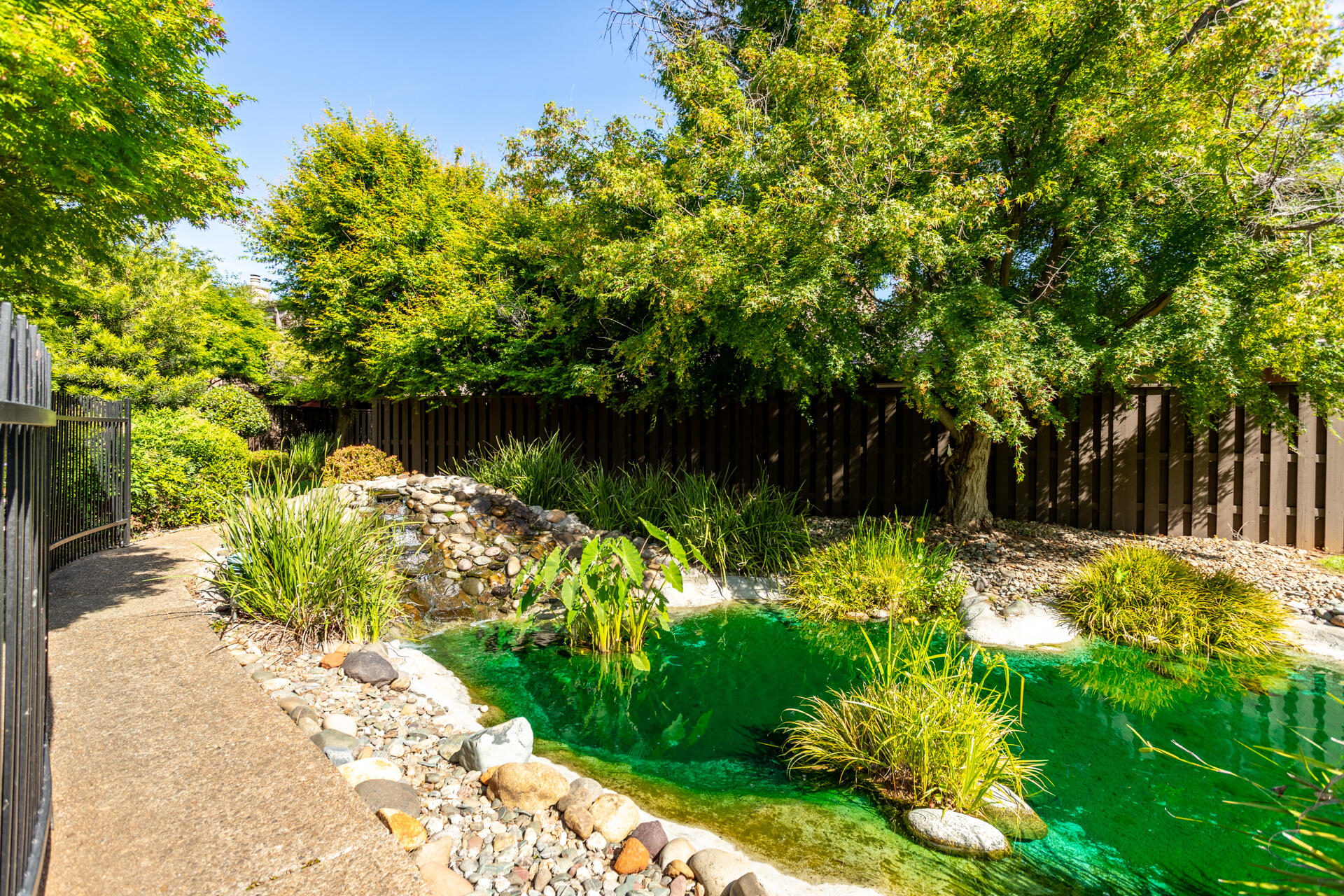 1937 Bechelli Lane Redding, CA 96002 - Photo 36 of 48 Koi Pond