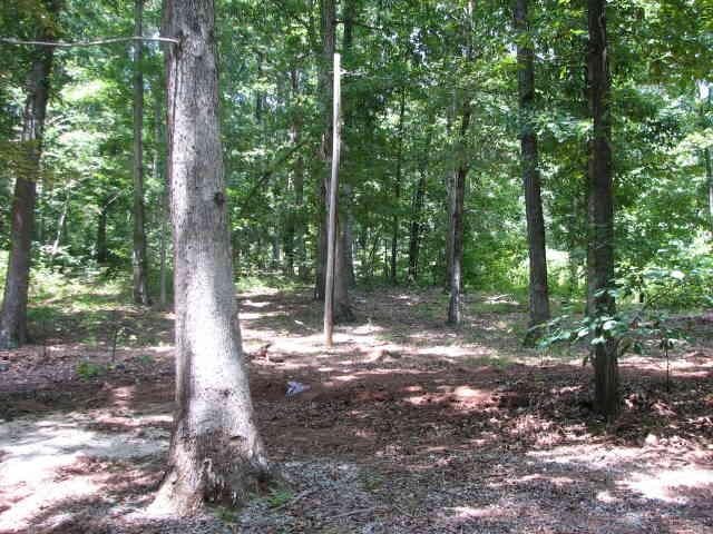 3659 Mangum Road Gainesville, GA 30507 - Photo 1 of 1