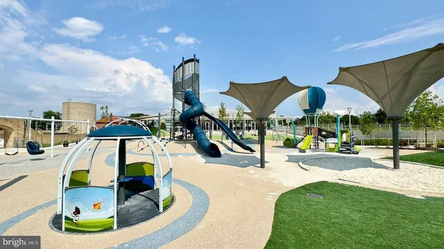 a view of a garden with plants