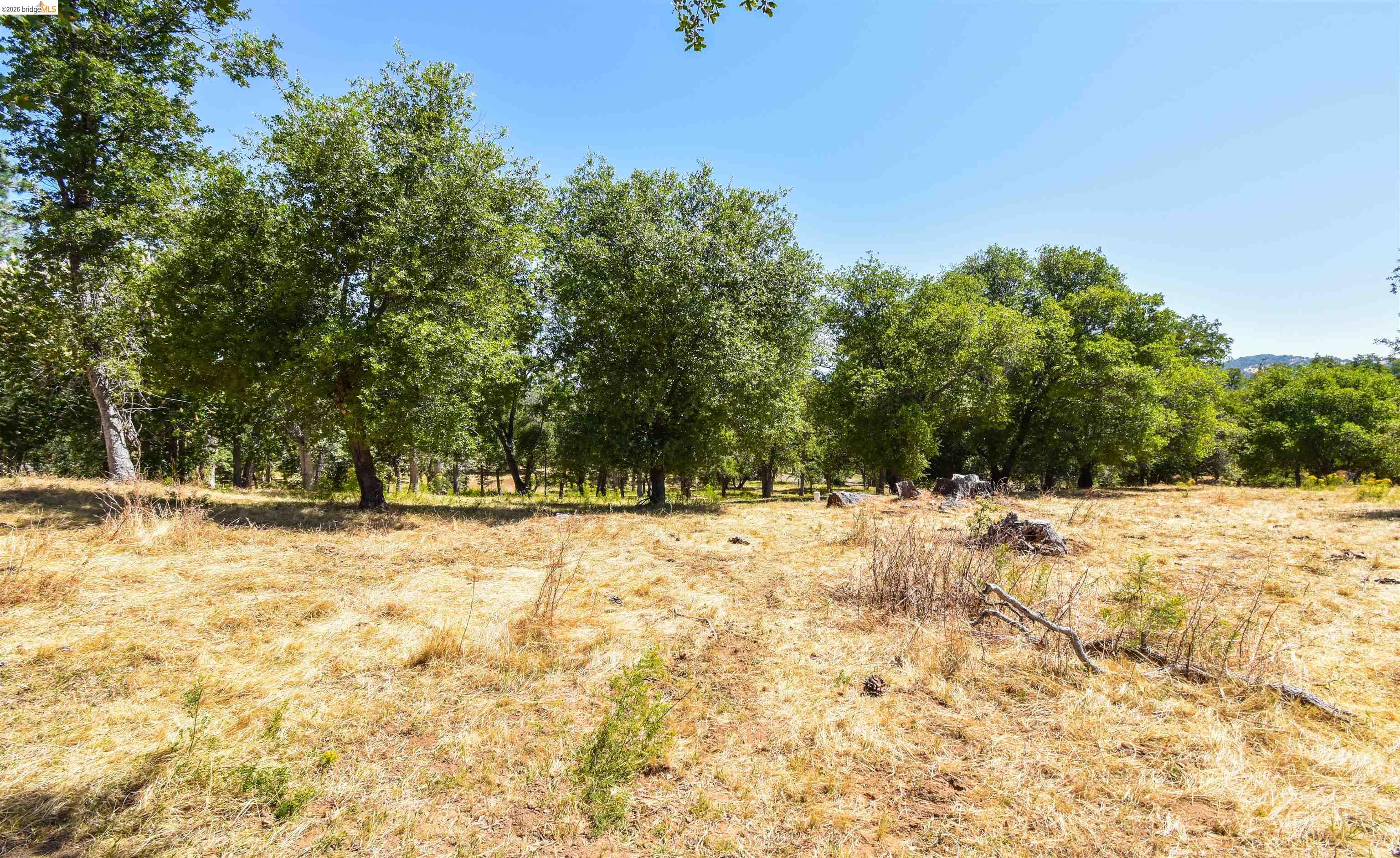 45-ac Powell Ranch Road Sonora, CA 95370 - Photo 10 of 20